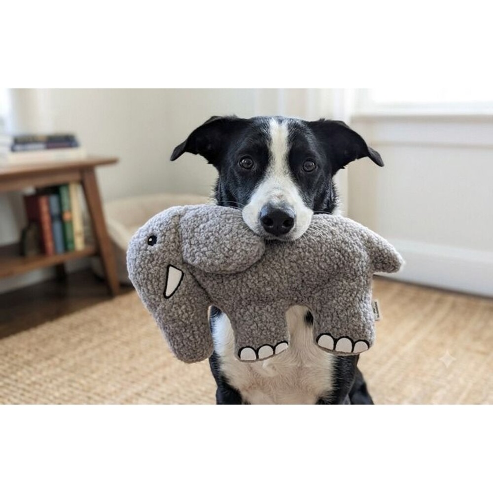 Earl the Elephant Fleece Dog Toy -Durable Double-Stitched Squeaker & Crinkle Toy